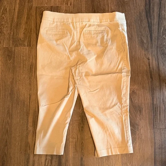 Kim Rogers, Khaki, Pull-On, Tummy Control, Stretch Pants - Picture 3 of 3